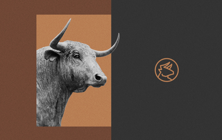 BDB金融投資創投公司vi形象設計與公牛logo設計