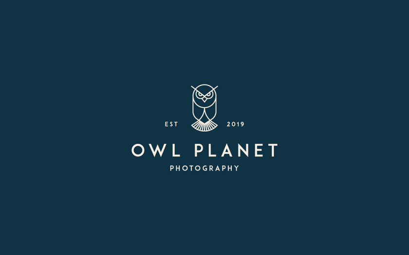 優雅logo設計欣賞-貓頭鷹