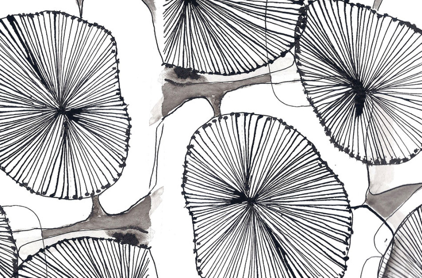 Tiosk茶飲餐飲品牌形象設計，水墨線條畫風格