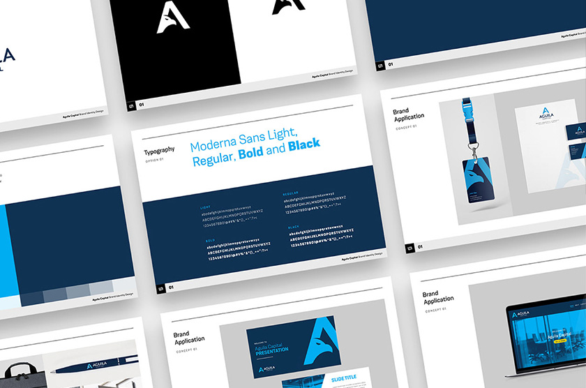 Aguila Capital 巴西對沖基金logo設(shè)計(jì)“字母A+鳥”與品牌視覺形象設(shè)計(jì)