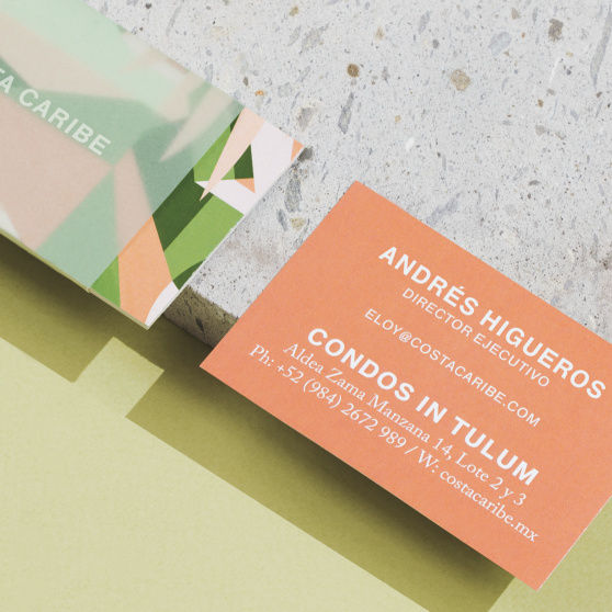 這種明亮有趣的顏色組合的品牌設(shè)計(jì)，具有良好的熱帶風(fēng)情。