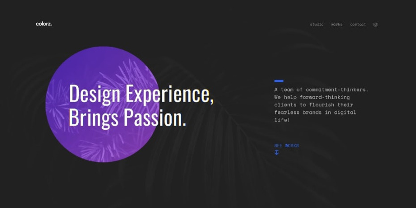 美麗的網(wǎng)站，簡潔優(yōu)雅的設(shè)計(jì)