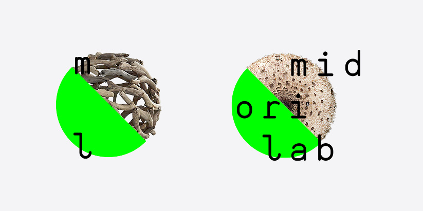 滿活力的綠色品牌設(shè)計(jì)，需要認(rèn)真的技能才能使如此大膽的綠色工作如此美麗