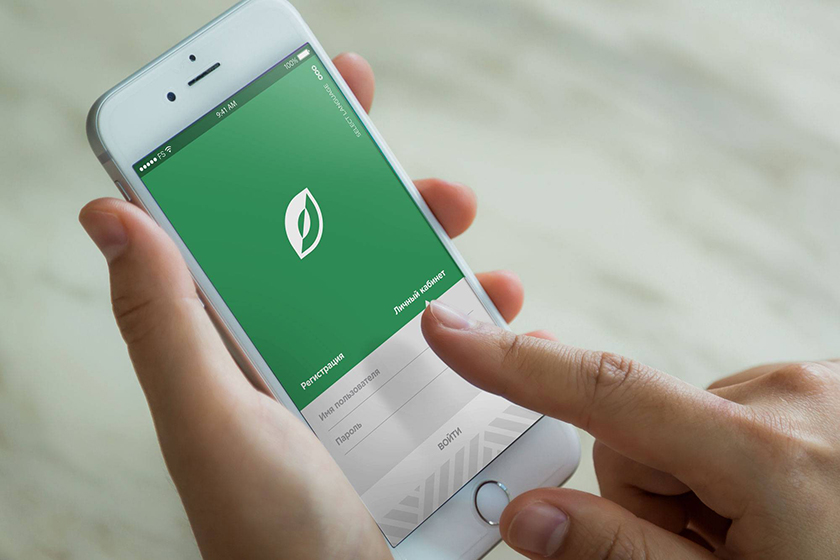 fresh shelf 在線交付平臺與線下生鮮農產品食品終端網點零售取貨店品牌形象設計