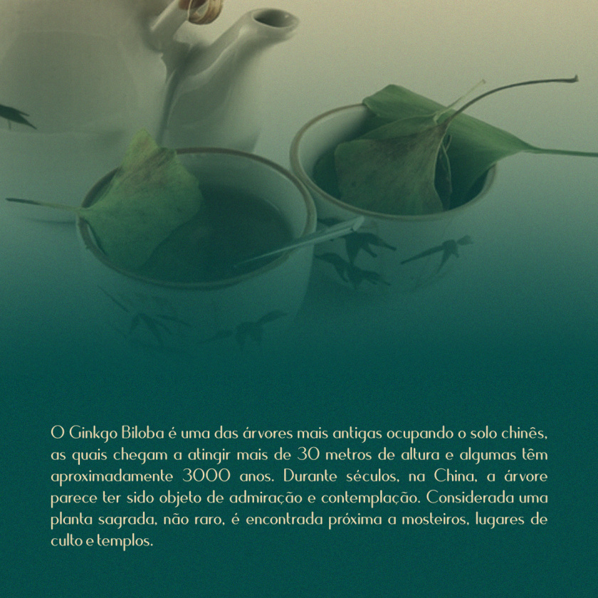 Rafael Erling 醫療醫藥保健品公司logo設計“銀杏葉+字母R”