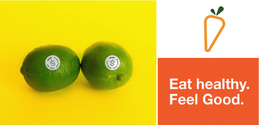 Elsalh 新鮮蔬菜水果配送公司品牌形象設(shè)計(jì)-logo,vi與產(chǎn)品包裝設(shè)計(jì)