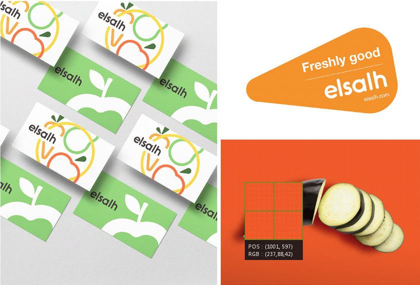 Elsalh 新鮮蔬菜水果配送公司品牌形象設(shè)計(jì)-logo,vi與產(chǎn)品包裝設(shè)計(jì)