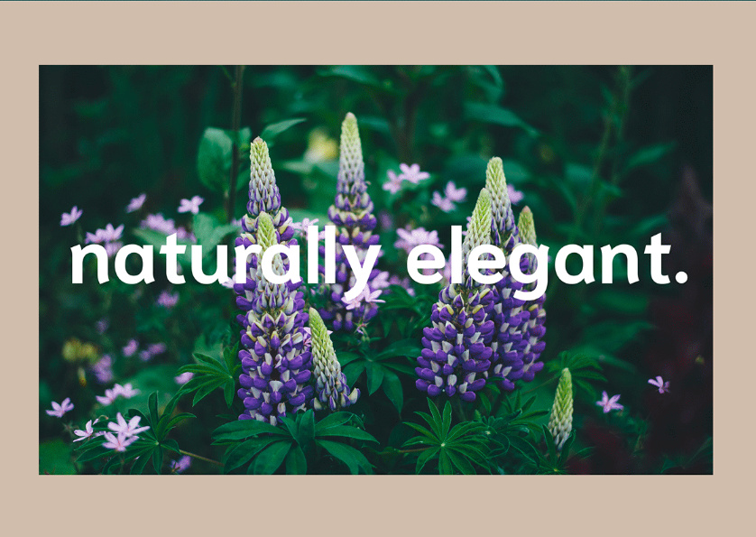 Bostaan 景觀公司logo設(shè)計(jì)與vi設(shè)計(jì)，矢量化幾何風(fēng)格綠葉與根須