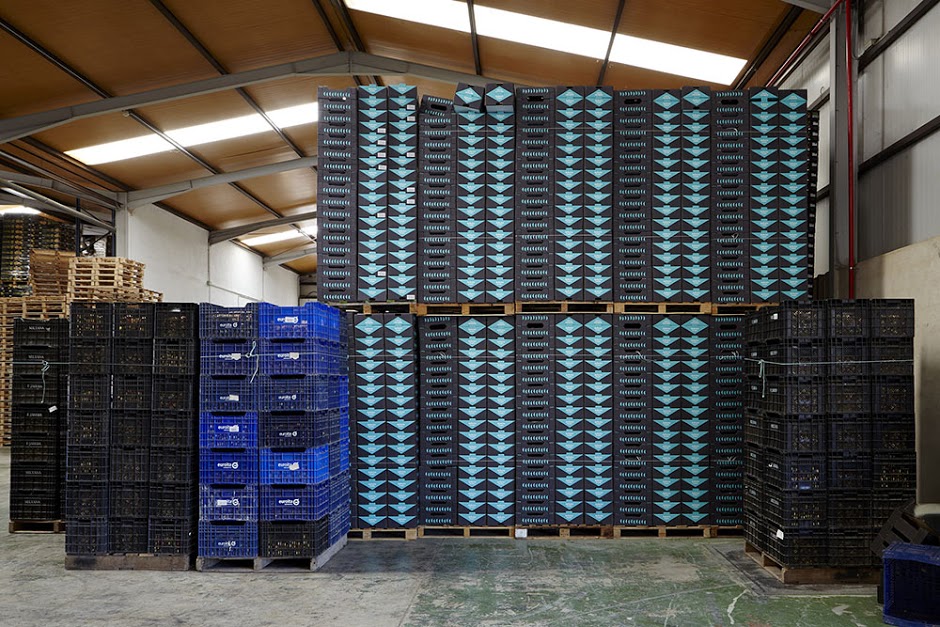 FORêT杏桃水果包裝設計，采用森林樹木的抽象圖形