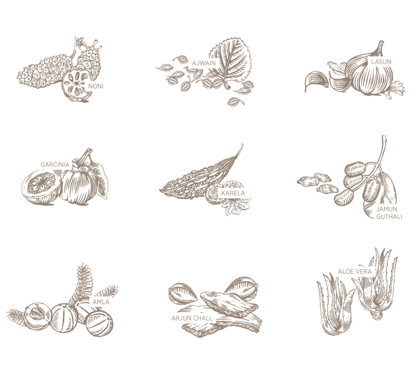 Kapiva處方藥藥品包裝設(shè)計，嚴謹?shù)纳珘K加植物插圖