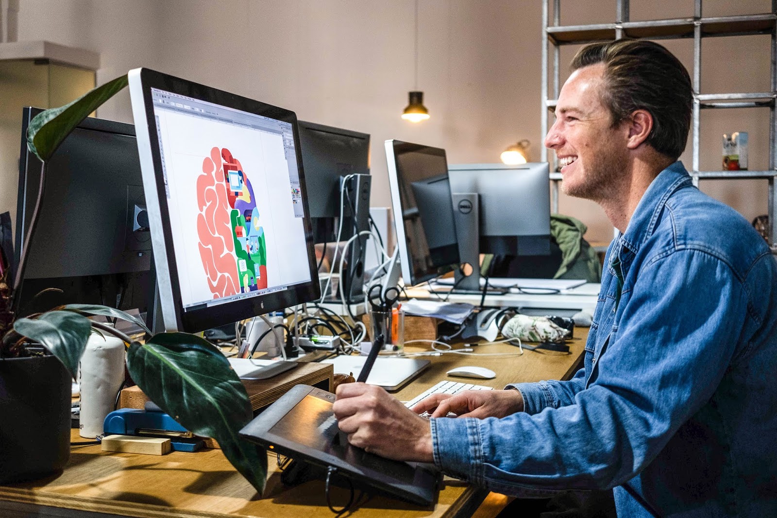 Neuriva 大腦健康營養補充系列保健品包裝設計