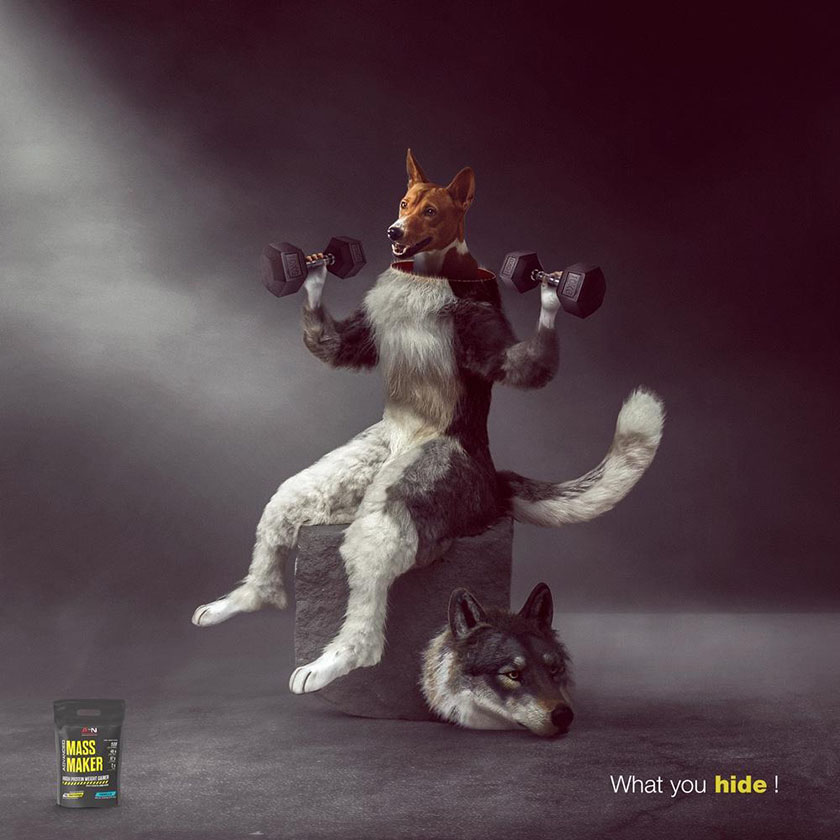 Advanced Sports Nutrition高級運動營養食品平面廣告設計，在對比中逆襲身材