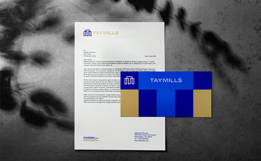 泰米爾斯房地產(chǎn)公司品牌vi設(shè)計視覺識別系統(tǒng)