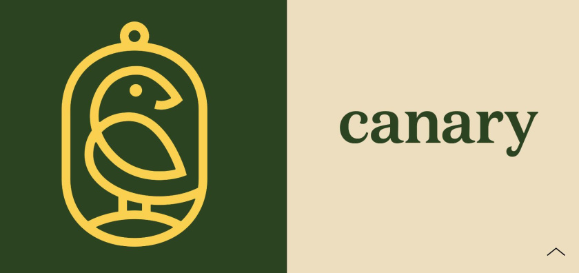 金絲雀個人清潔美容化妝品產品品牌形象設計logo設計