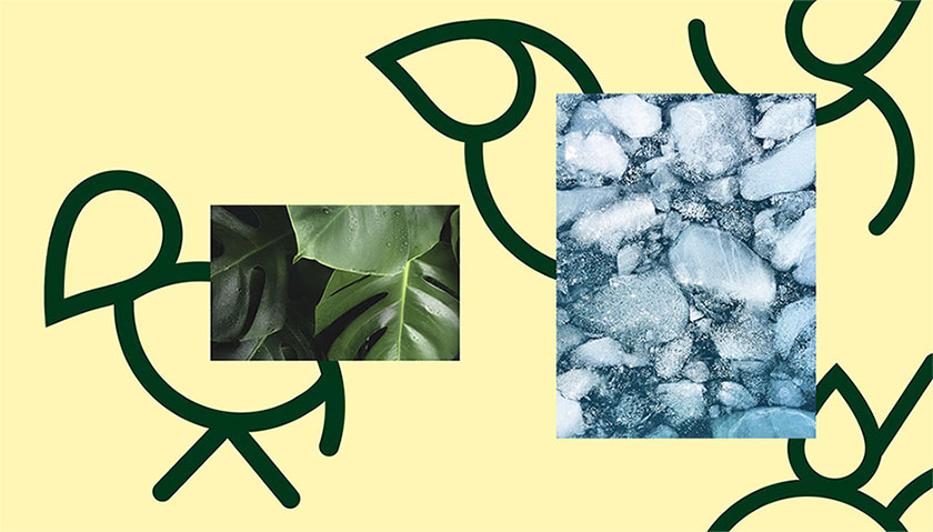 Handelens Milj?fond環(huán)境基金組織品牌形象設計