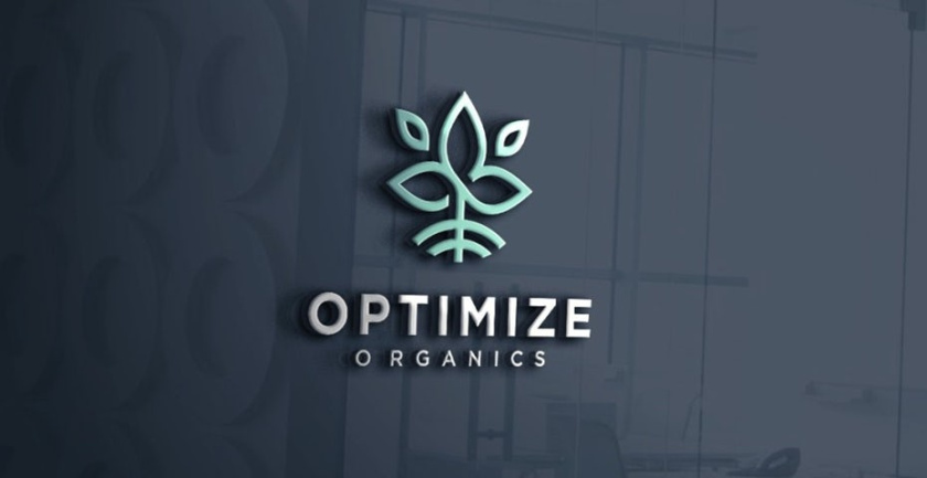 展現成功的咨詢顧問logo設計