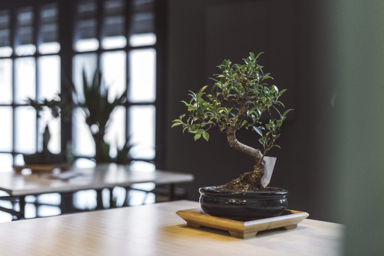 Dhabbu亞洲美食餐廳餐飲空間設計，突出亞洲元素