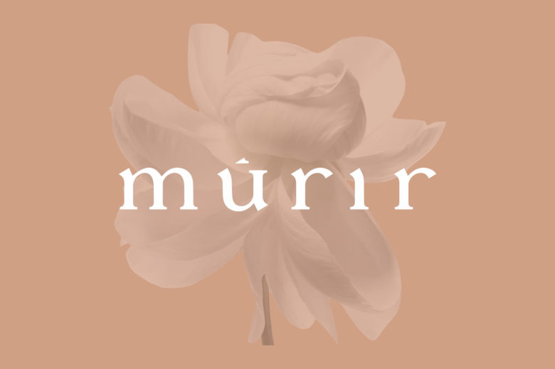 m?rir化妝品品牌vi視覺形象設計與包裝設計