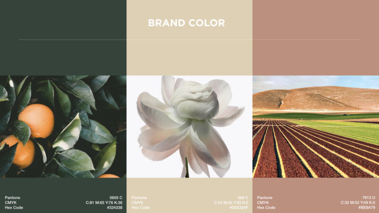 m?rir化妝品品牌vi視覺形象設計-品牌色彩