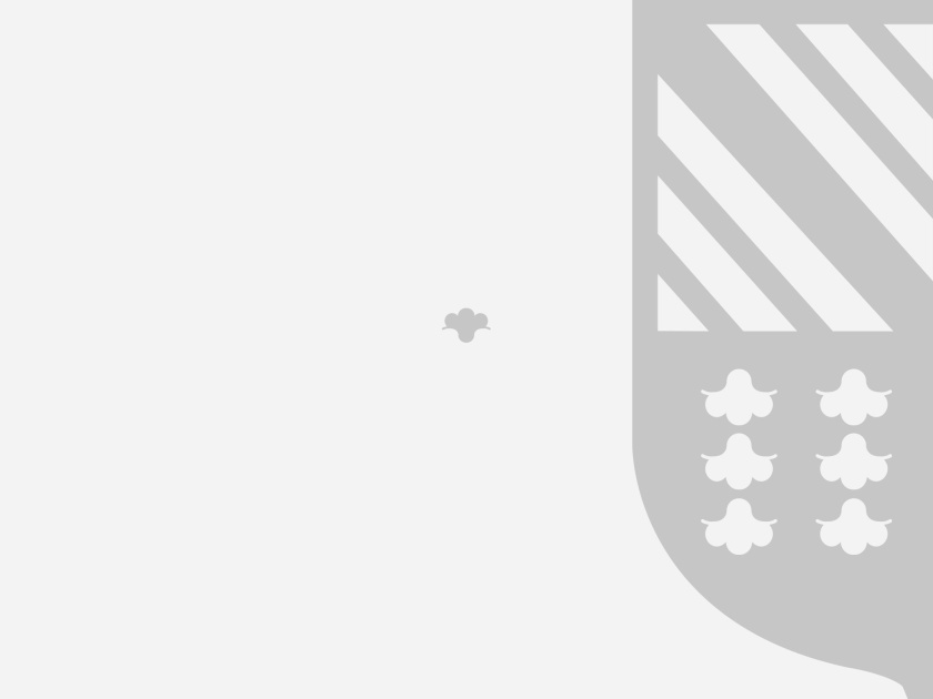 ELLAS珠寶品牌logo設計與品牌vi形象設計，三個花朵徽章