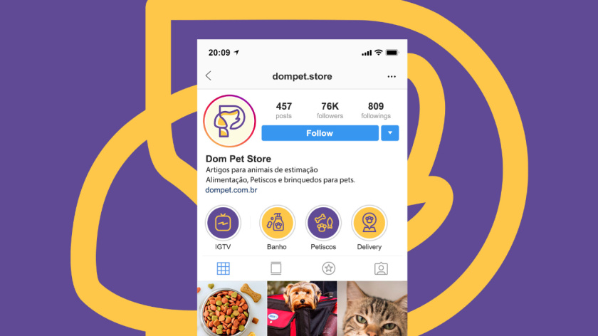 Dom Pet Store 寵物食品專賣店品牌logo設計vi設計，首字母+狗頭線條logo