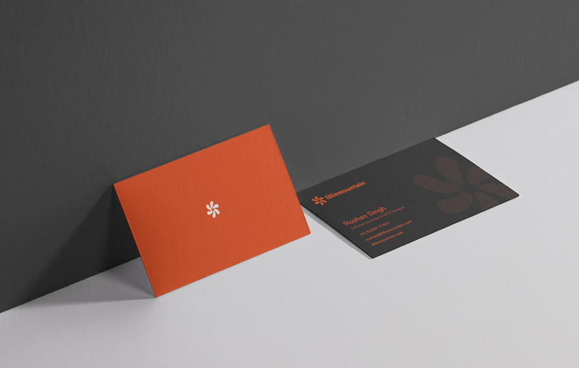 Lilliee 互聯(lián)網(wǎng)IT科技公司品牌形象設(shè)計-logo/vi設(shè)計