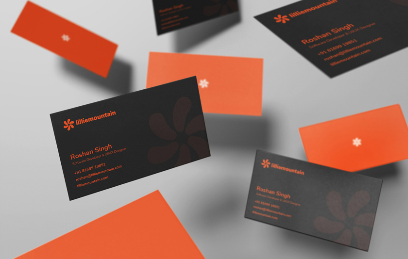 Lilliee 互聯(lián)網(wǎng)IT科技公司品牌形象設(shè)計-logo/vi設(shè)計