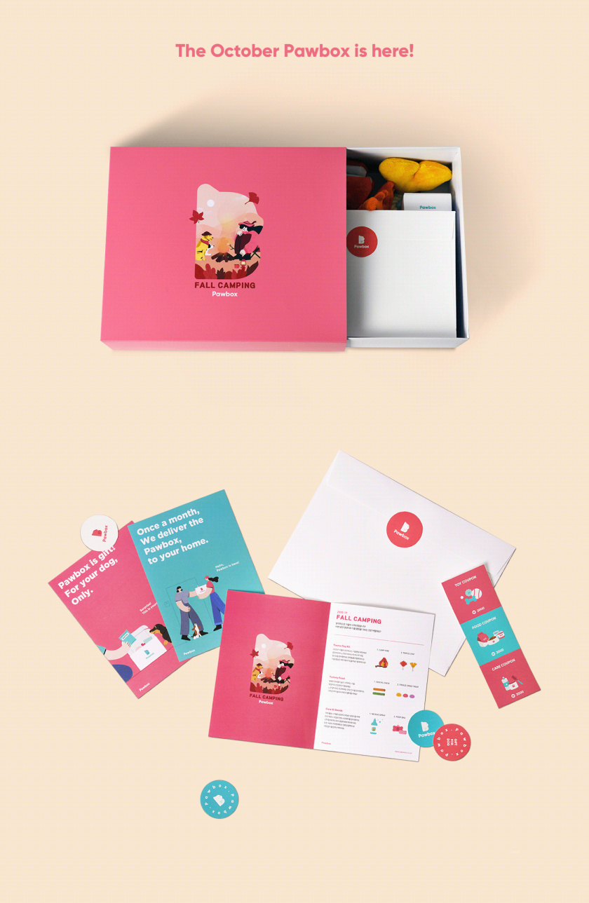 Pawbox寵物用品平臺網站品牌形象設計-vi設計