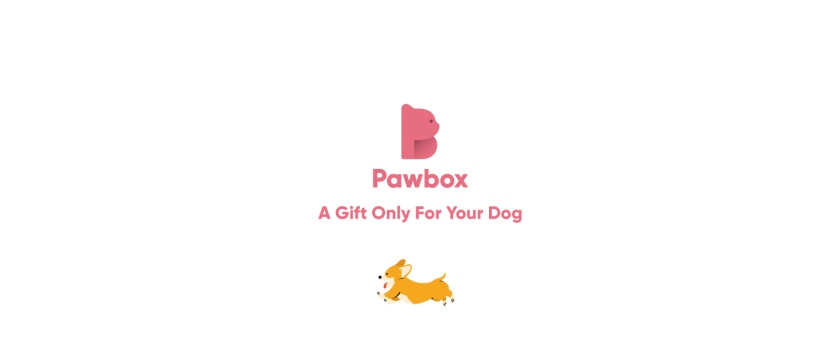 Pawbox寵物用品平臺網站品牌形象設計