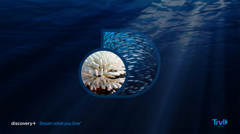 Discovery+探索電視節目頻道品牌logo設計，光譜色幾何D和一個圓的結合