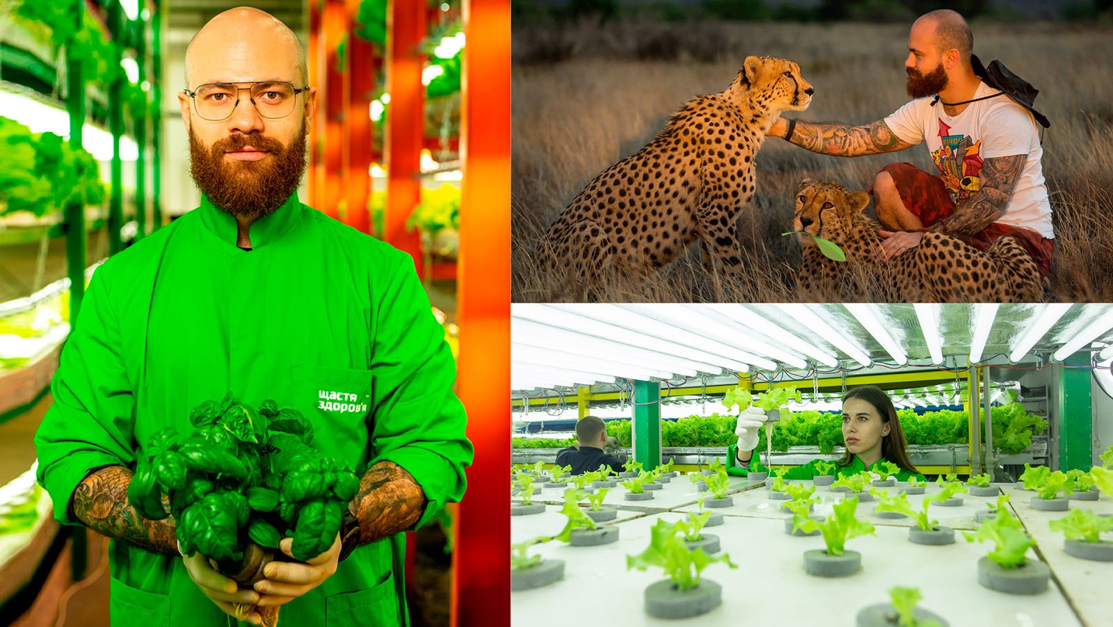 BABYMIX垂直農場蔬菜沙拉透明盒裝包裝設計，用透明突出新鮮