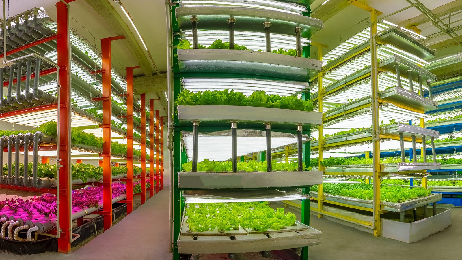 BABYMIX垂直農場蔬菜沙拉透明盒裝包裝設計，用透明突出新鮮