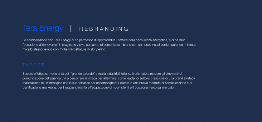 Tera Energy 能源咨詢公司logo設計vi設計，動態圓點科技風格