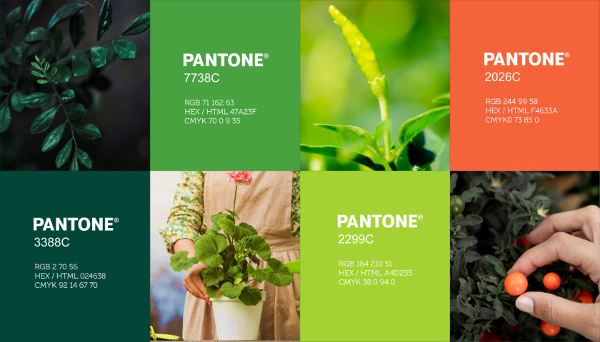 圣維德園藝鮮花綠植花園品牌形象vi視覺識別設計，多彩幾何圖形風格