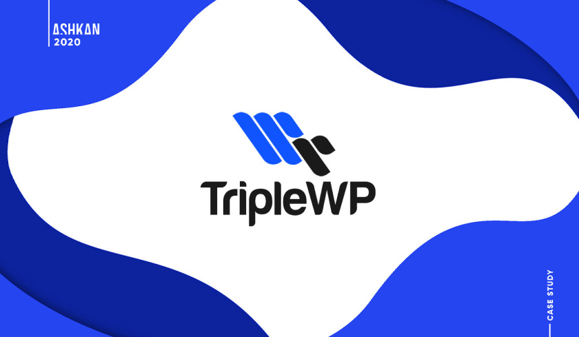 TripleWP wordpress模板網站科技公司logo設計與vi設計，科技藍色風格