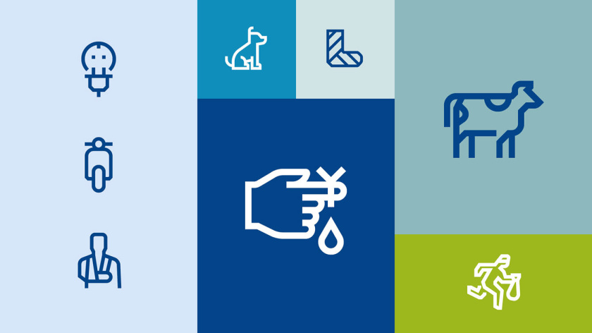 拜仁保險公司品牌vi視覺形象系統設計規范，靈活便于應用