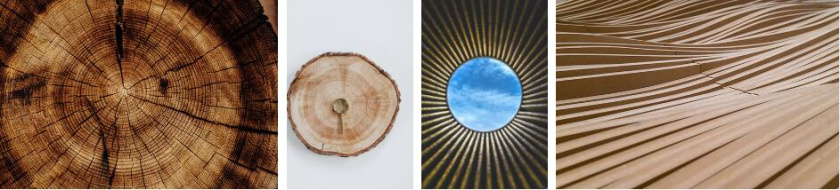 Woodie 高端家具制造品牌logo設(shè)計(jì)vi設(shè)計(jì) ”木紋元素“