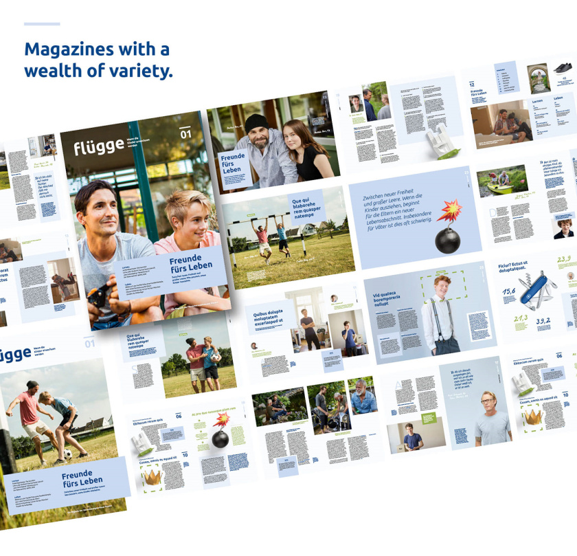 Bayern拜仁保險(xiǎn)公司vi設(shè)計(jì)與視覺(jué)識(shí)別系統(tǒng)，適合任何媒體的應(yīng)用系統(tǒng)