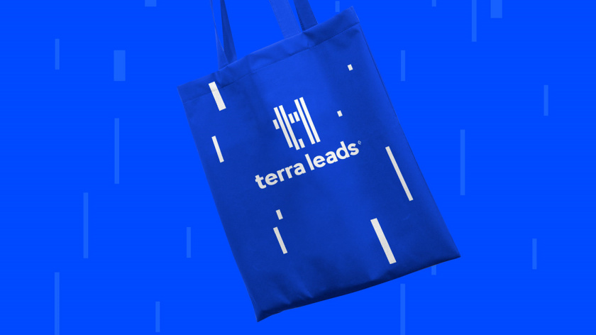 Terra Leads 注冊會計師互聯網平臺網站品牌形象logo設計vi設計-禮品袋子,變化的垂直線條 Terra Leads 注冊會計師互聯網平臺網站品牌形象logo設計vi設計-禮品袋子,變化的垂直線條