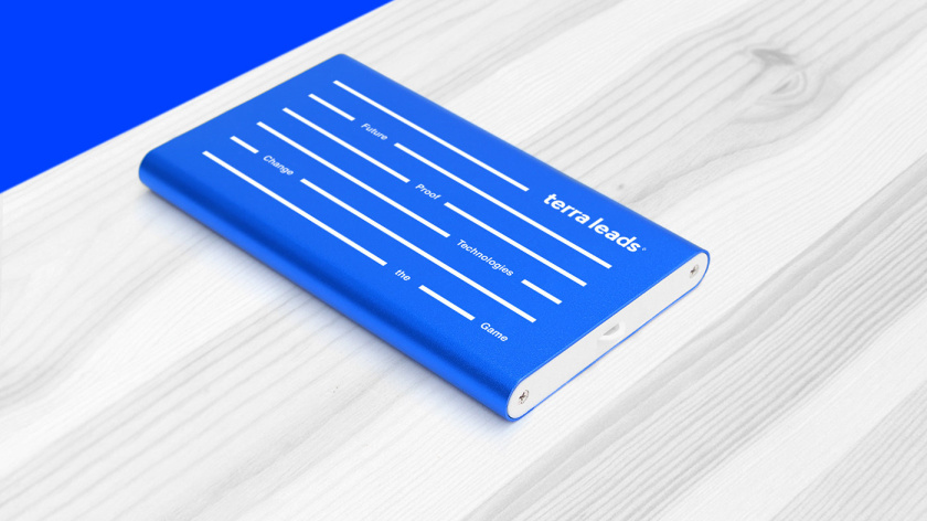 Terra Leads 注冊會計師互聯網平臺網站品牌形象logo設計vi設計-品牌禮品,變化的垂直線條 Terra Leads 注冊會計師互聯網平臺網站品牌形象logo設計vi設計-品牌禮品,變化的垂直線條