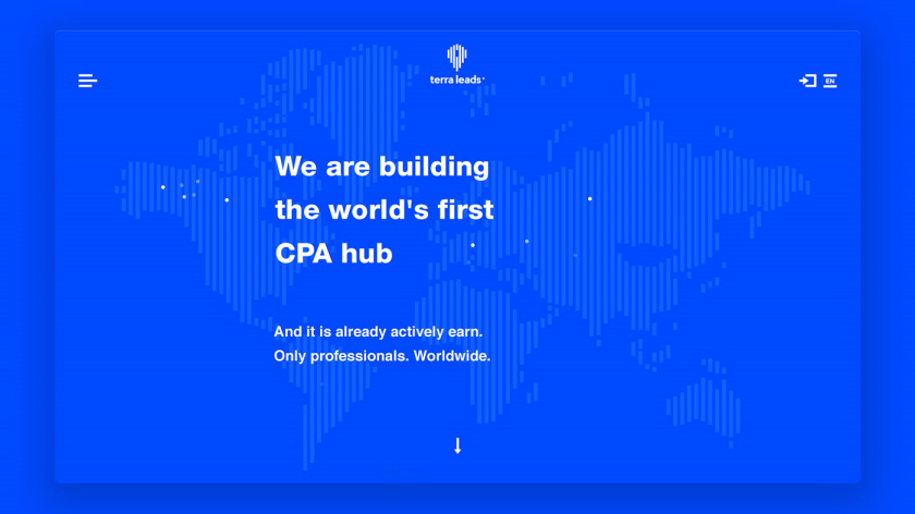 Terra Leads 注冊會計師互聯網平臺網站品牌形象vi設計網站設計,變化的垂直線條 Terra Leads 注冊會計師互聯網平臺網站品牌形象vi設計網站設計,變化的垂直線條