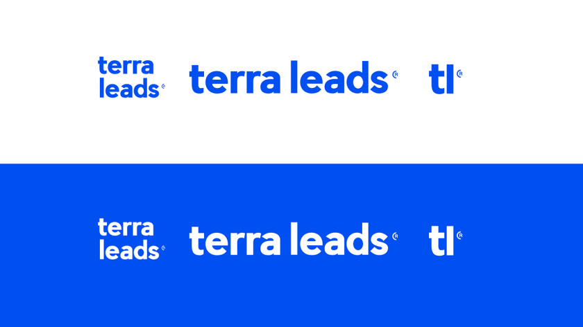 Terra Leads 注冊會計師互聯網平臺網站品牌形象logo設計-文字組合 Terra Leads 注冊會計師互聯網平臺網站品牌形象logo設計-文字組合