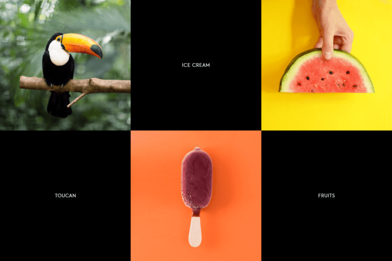 RIO冰淇淋棒冰冷飲包裝設計“巨嘴鳥插畫設計”款