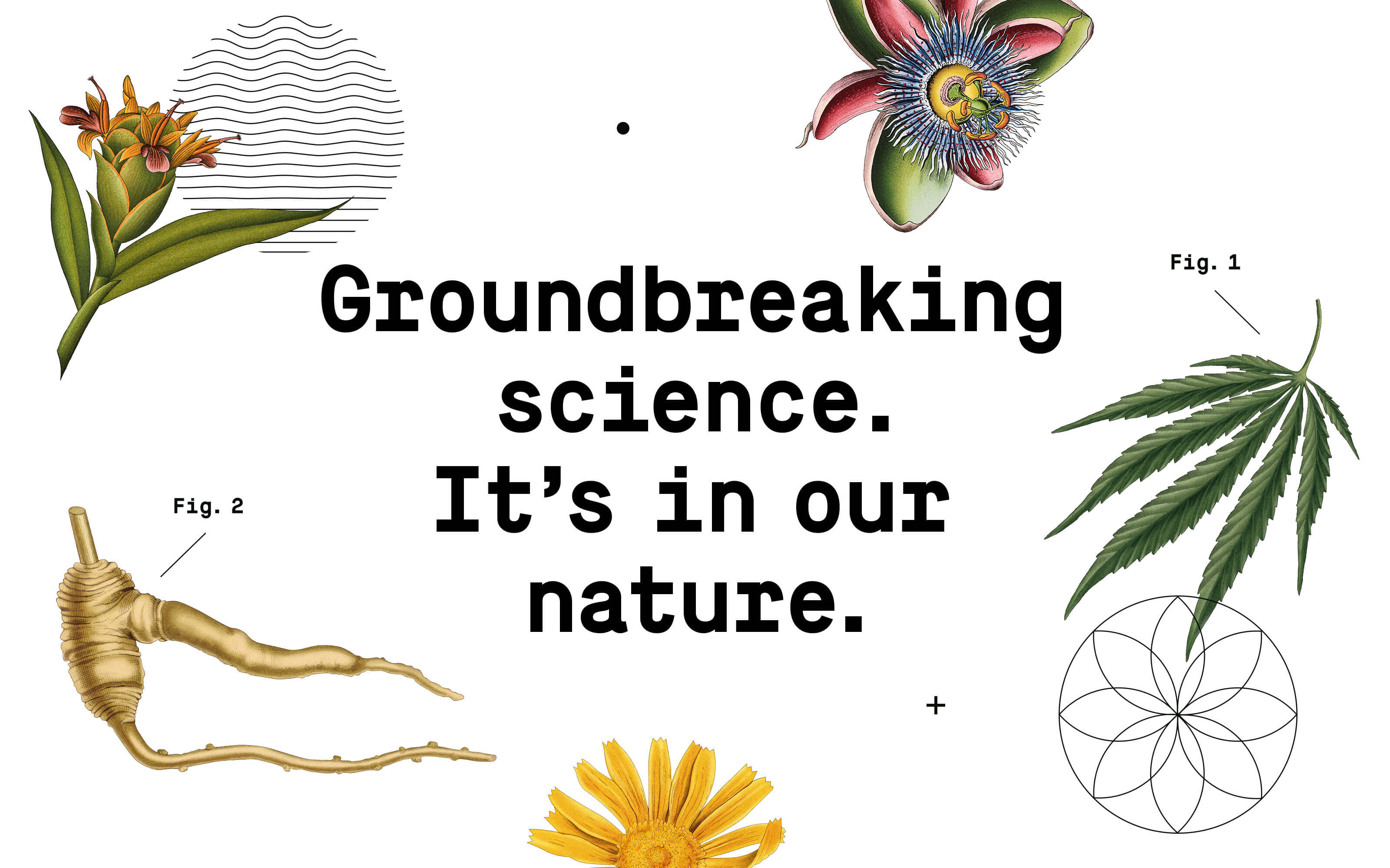 Healist大麻二酚CBD草本保健品藥品包裝設計，自然植物與現代科學的平衡