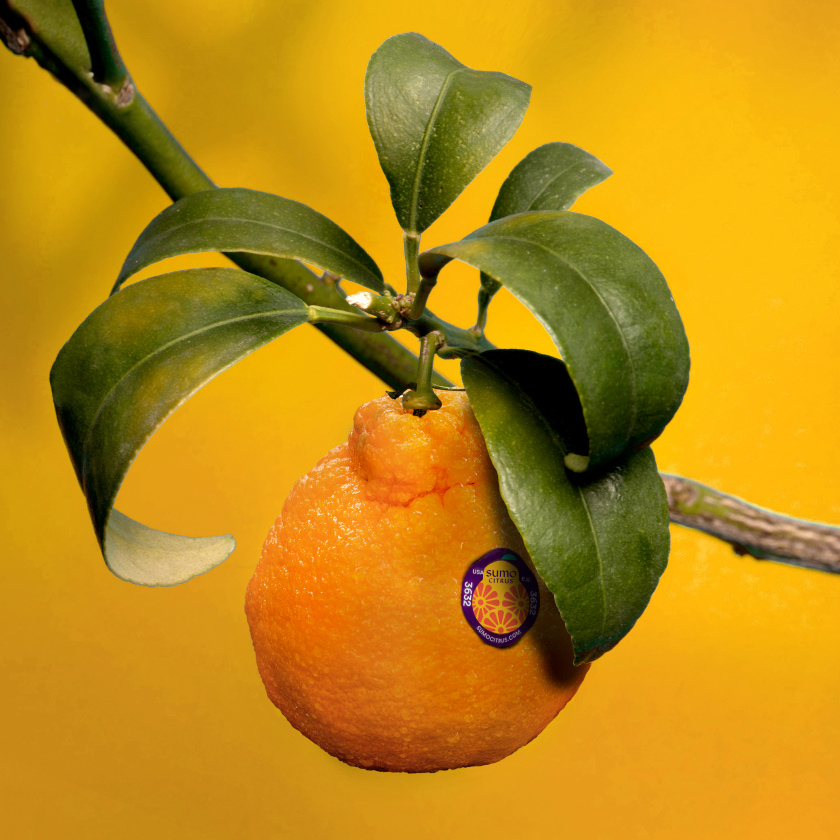 Sumo Citrus 橘子包裝箱設計靈感來自水果的獨特形狀和日式圖案