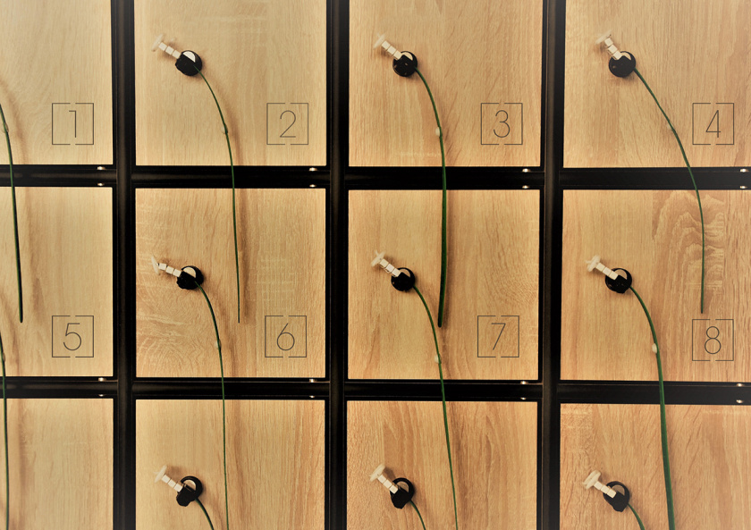 Place 67 共享辦公空間品牌形象vi設計logo設計-內部導視設計，辦公風格裝飾元素