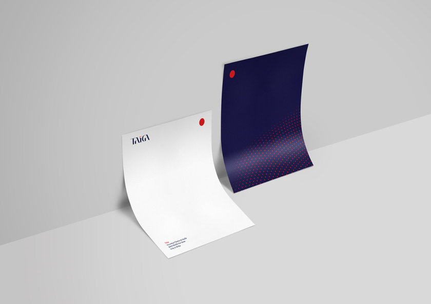 TA?GA金融科技品牌形象設計-logo/vi設計“動感光點”