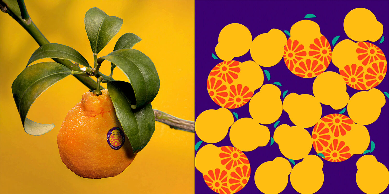 Sumo Citrus 橘子包裝箱設計靈感來自水果的獨特形狀和日式圖案