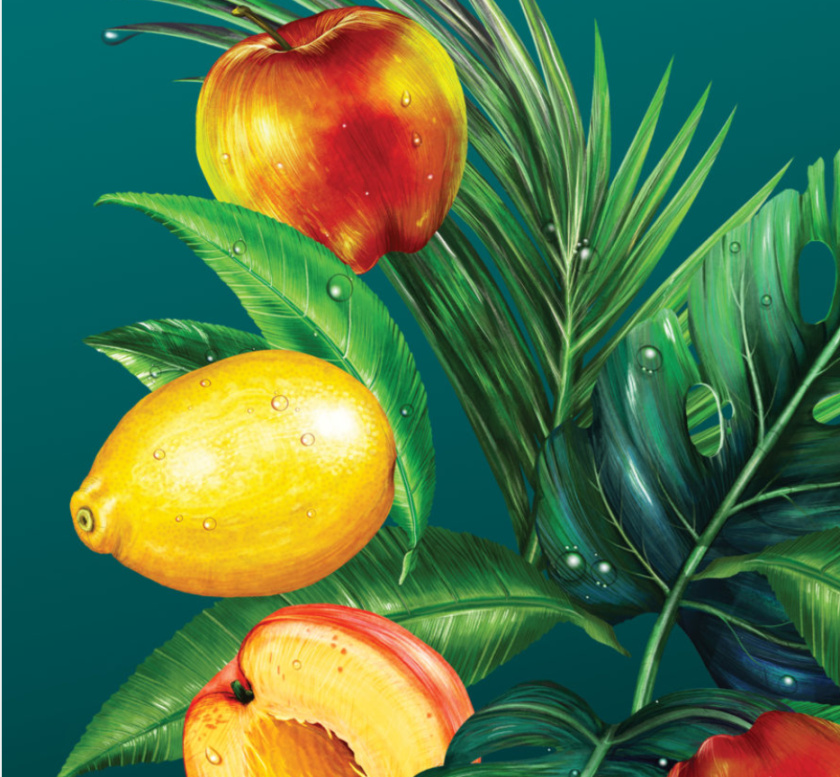 Wild Leaf 野葉硬茶水果混合茶飲飲料易拉罐包裝設計，紅色熱帶雨林插畫風格