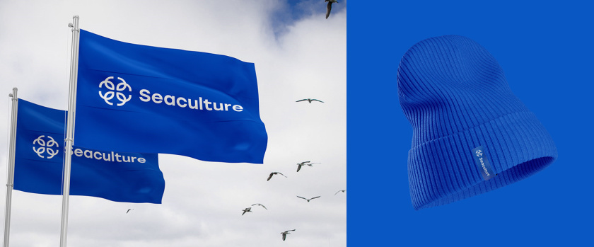 Seaculture 海水養(yǎng)殖海鮮品牌logo與vi識別設計，四個線條魚組合